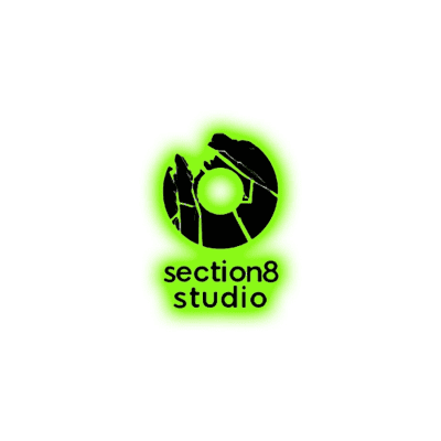 Section8